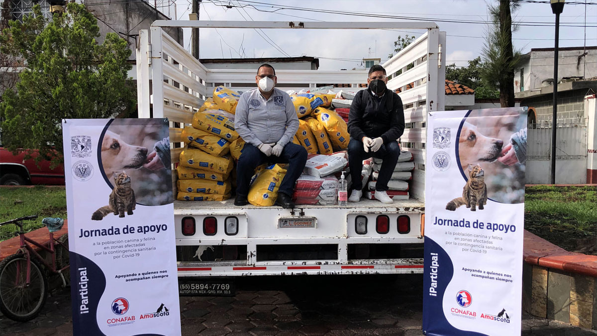 UNAM dona comida para perros y gatos