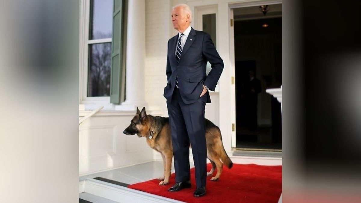 Major perro de Biden