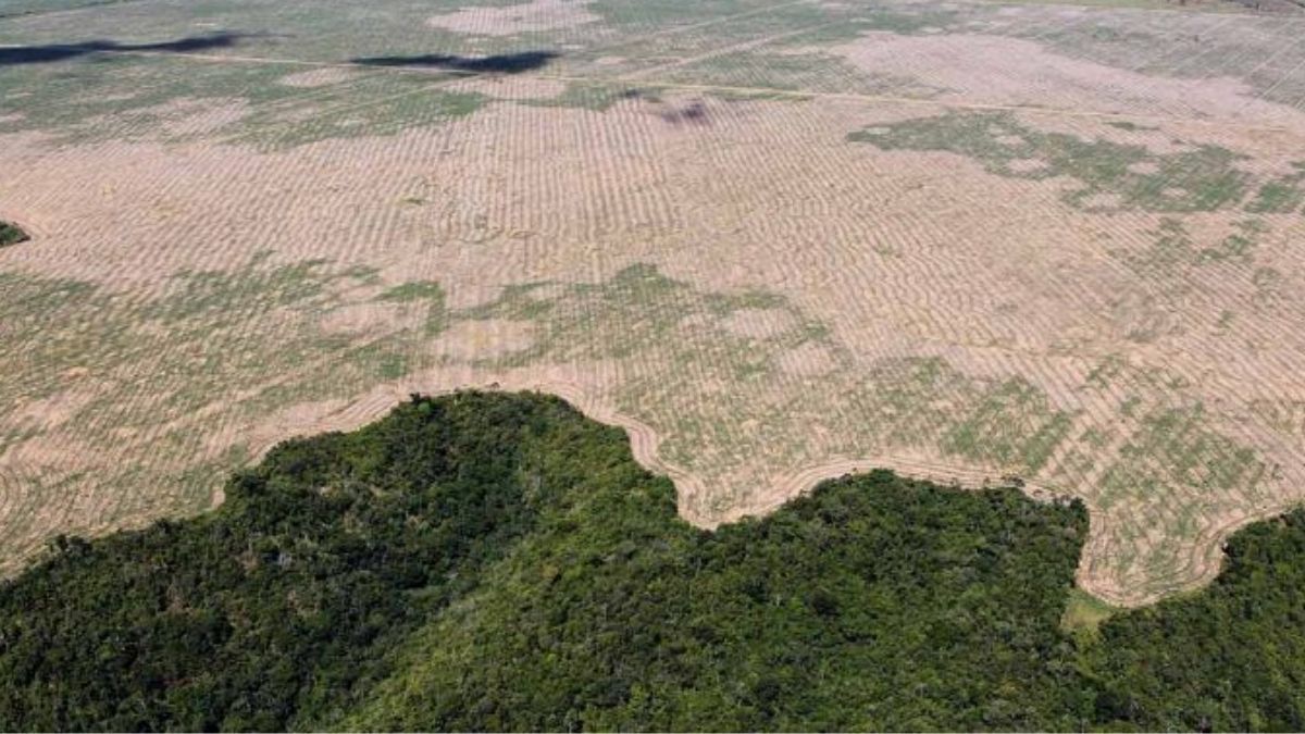 Deforestacion Amazonas