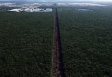 Deforestacion Tren Maya